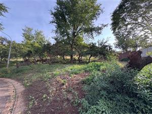 Vacant Land in Proteapark – Endless Potential!