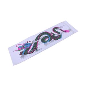 Dragon Neon Vinyl Door Sticker Kit - 56x15cm