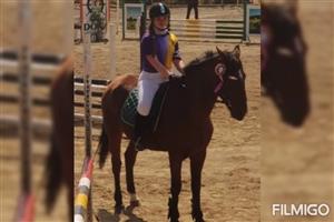 HORSE RIDING LESSONS