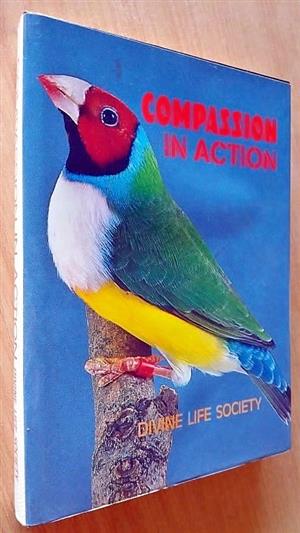 4 Compassion books. 