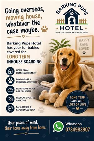 Doggie Hotel