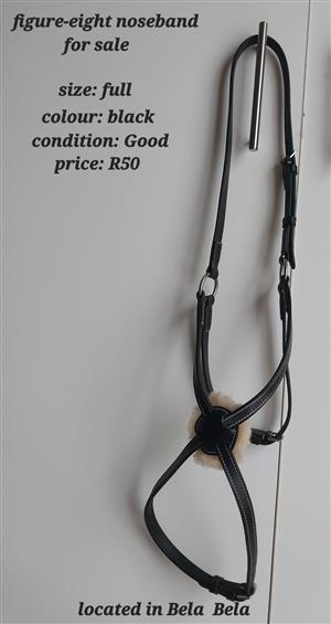 figure-eight noseband
