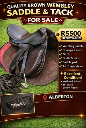 Wembly Saddle and Tack