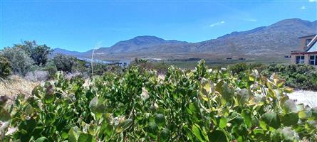 Pringle Bay Vacant Plot for Sale – Outside Wetland Area with Open Mountain Views