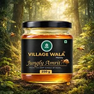 Village Wala Jungly Amrit Honey – 100% Pure Natural Forest Honey 250g