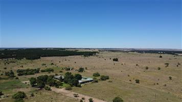Exceptional 128-Hectare Grazing Farm with Strong Water Infrastructure and Spacious Homestead