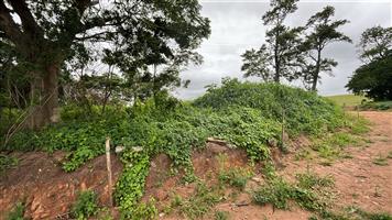 HELMSLEY COUNTRY ESTATE – NATURE | FAMILY | COUNTRY