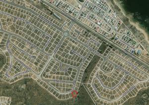 Everything's better with an Ocean View