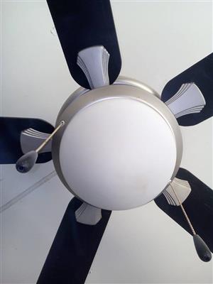 Modern ceiling fan
