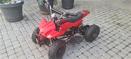 Electric quad bike with a 500w Electric Motor