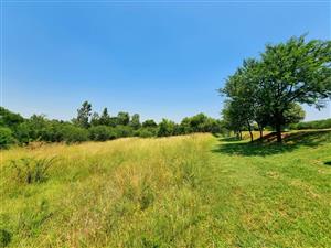Vacant land to build your dream home!