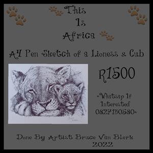A4 Pen Sketch of a Lioness & Cub 