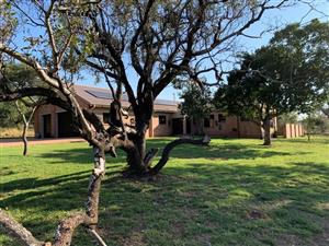 Immaculate 4-Bedroom Bushveld Home: Spacious, Solar-Powered & Perfectly Positioned