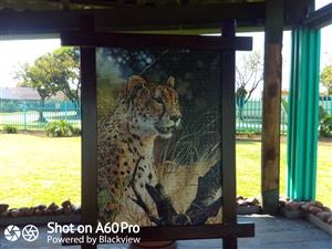 Urgent sale  wildlife puzzles framed 