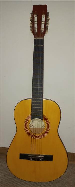 acoustic guitar half size