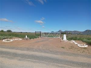 Farm For Sale in Kendrew