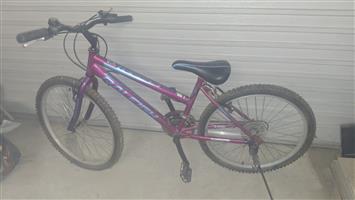 24 inch Raleigh Alpine 2.1 Girls bike