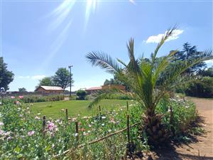 !Lovely, Captivating!  !A Place to Hang your Heart!