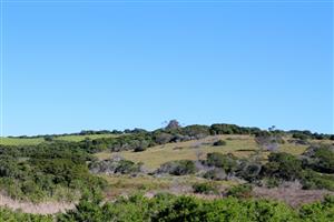 Coastal Land Ownership Opportunity in Umdoni Downs, Port Alfred