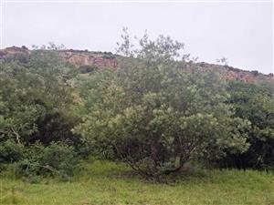 Vacant Land Residential For Sale in Ladybrand