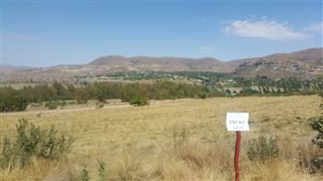 Small Holding For Sale in Clarens