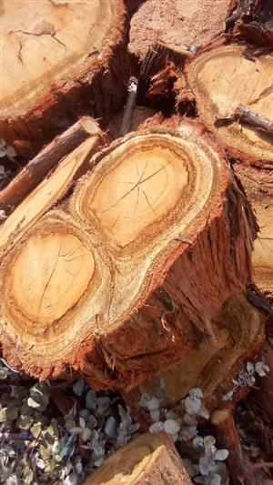 fire wood logs for sale
