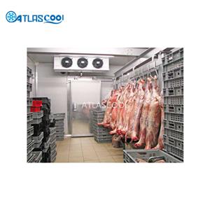 Industrial cold freezer room cold storage for foods
