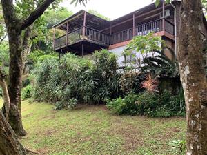 Your own piece of tropical paradise