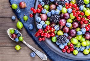 Berry plants- Blueberry, cranberry, goji berry, raspberries, currants, etc