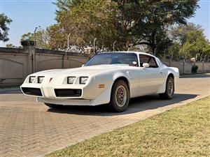 1980 Pontiac TransAm