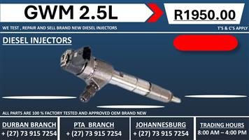 GWM 2.5L Diesel Injectors 