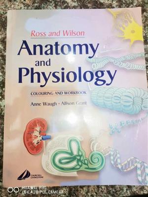 Anatomy and physiology