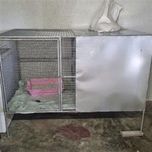 Pet cage large