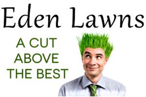 Eden Lawns | Natural Instant Lawn | Mostly Indigenous Options | Excellent Product and Service