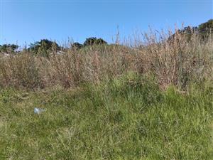 Secure vacant land in Signal Hill