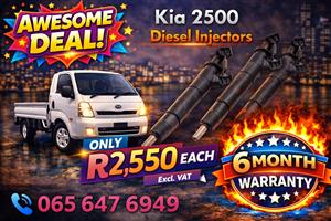 Kia K2500 Delphi Diesel Injectors