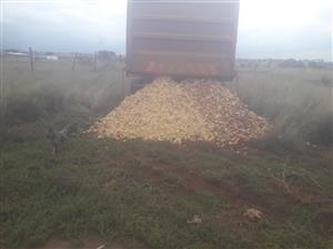 25mx25m empty stand for sale