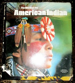  The American Indian