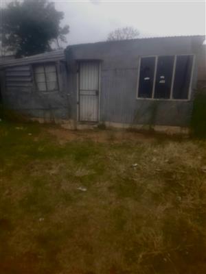 Erasmus phase8 itsoseng stand for sale 