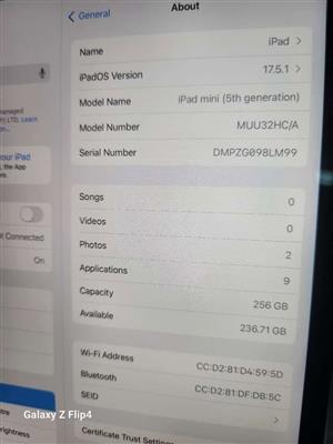 Ipad Mini 5th gen 256gb SSD