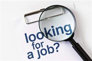 Code 10 driver with PDP urgently looking for job