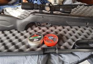 Gamo Wildcat Whisper 1300 Air Rifle