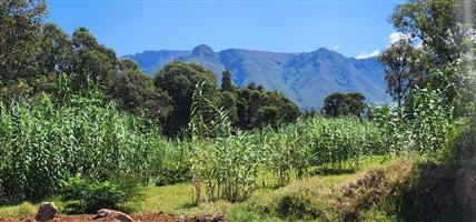 Spacious Plot with Stunning Mountain Views