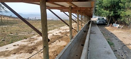 Exceptional 208 Ha Grazing farm for sale  in Dundee