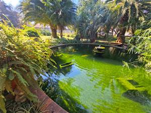 Sole Mandate - Beautiful Retirement Village Homes for Sale – Life Rights Option