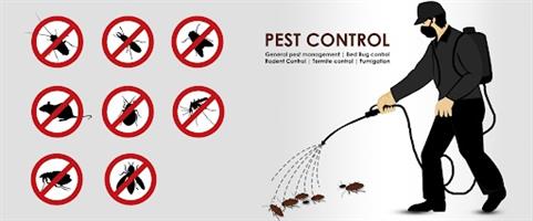 Pest Control & Fumigation Services in Randburg