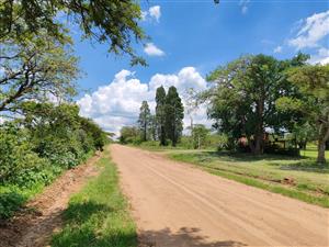 INVESTMENT OPPORTUNITY – FARM ON THE OUTSKIRTS OF LOUIS TRICHARDT