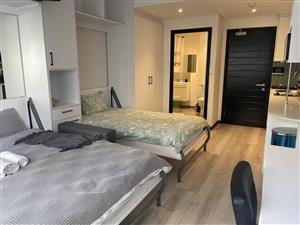 Move-In Ready Studio Plus with WiFi Included
