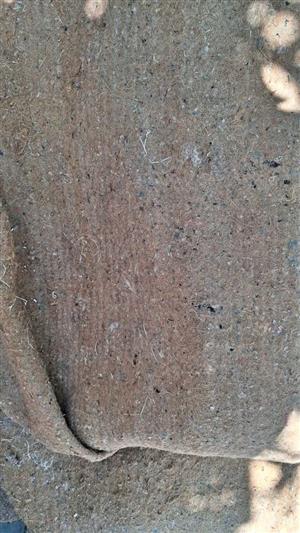 Carpets Undervelt 80 sqm