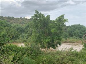 Vacant Land Commercial For Sale in Elephant Rock Eco Estate